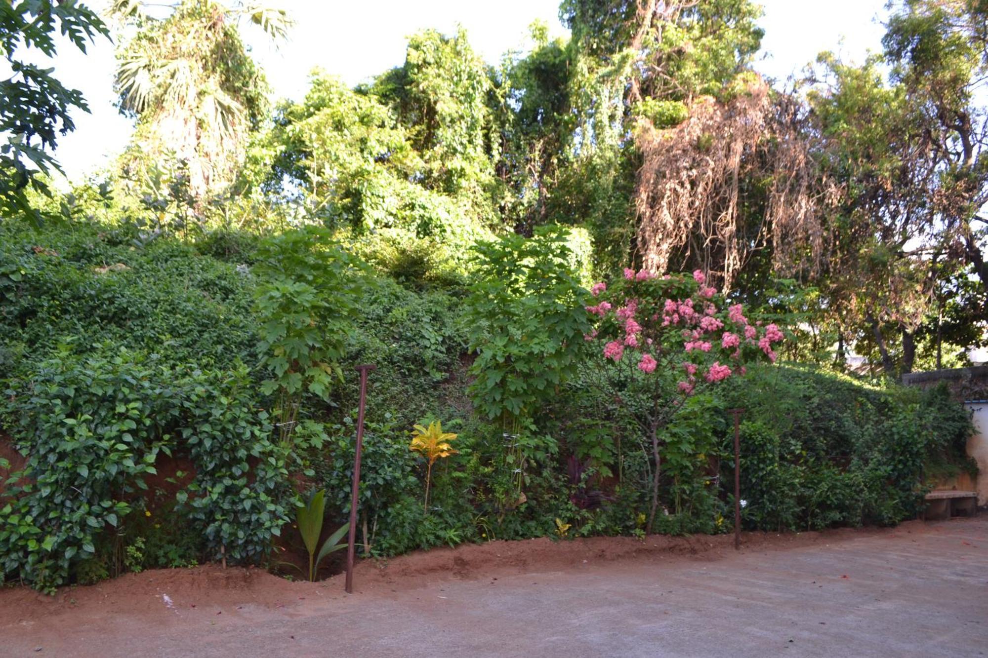 Yuga Guest House Kuttālam Exterior foto